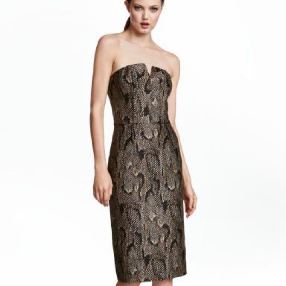 Sexy Animal Print Dress